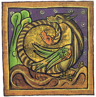 Image of an amphisbaena biting its own tail.